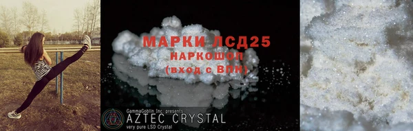 амф Гусиноозёрск