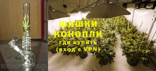 гидра Володарск