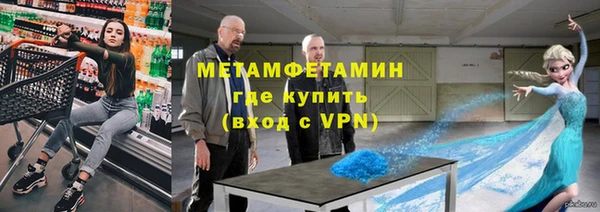 гидра Володарск