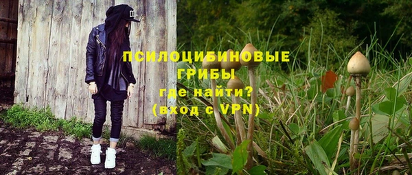 таблы Гусев
