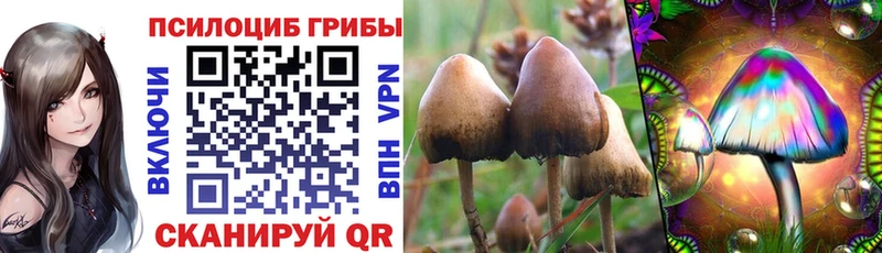 Галлюциногенные грибы Cubensis  Знаменск 
